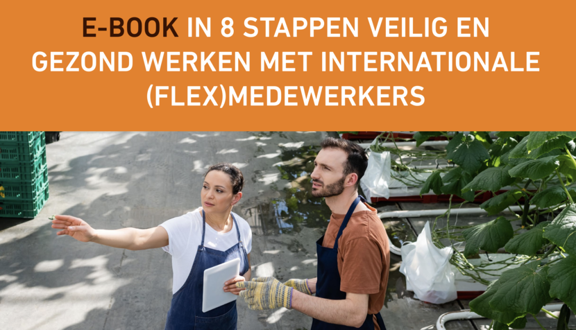 Afbeelding E-book: in 8 stappen veilig en gezond werken met internationale (flex)medewerkers